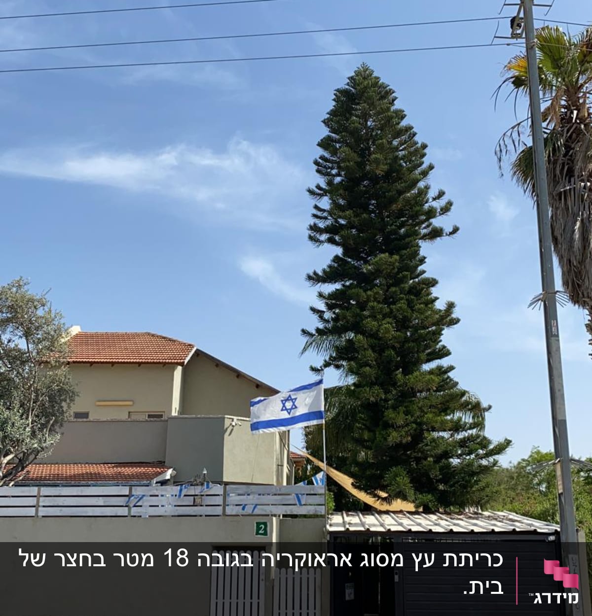עץ גבוה ליד בית עם דגל ישראל